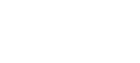 Viken